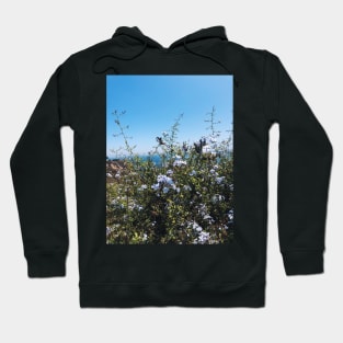 Tiny Beachside Flowers Hoodie